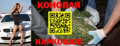 тгк Донской