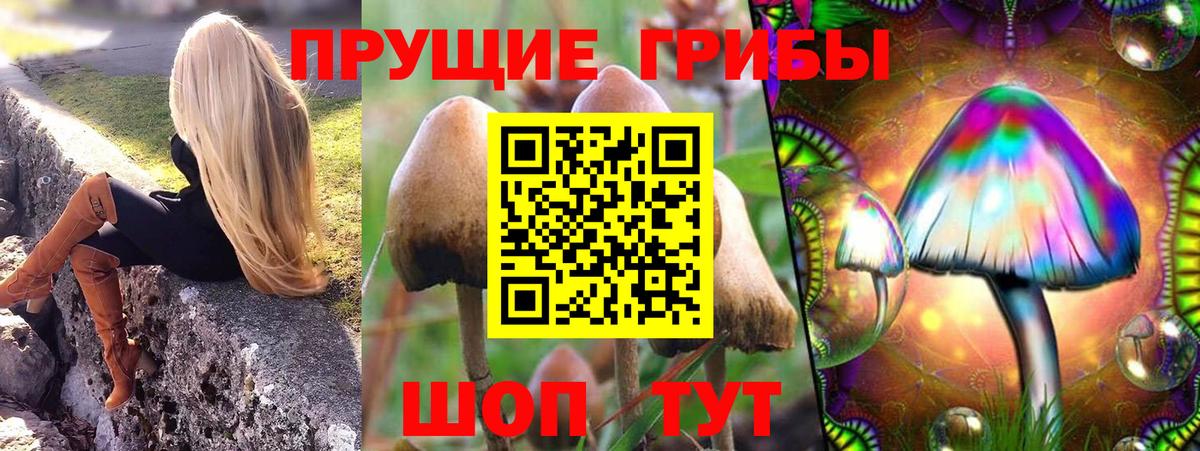Галлюциногенные грибы мухоморы  Вход с VPN  Россошь 